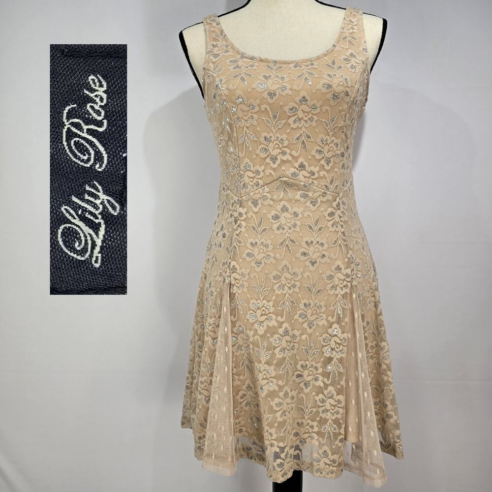 Lily Rose Champagne Silver Fit and Flair Lace Dress S